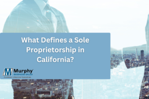 what defines a sole proprietorship in california?