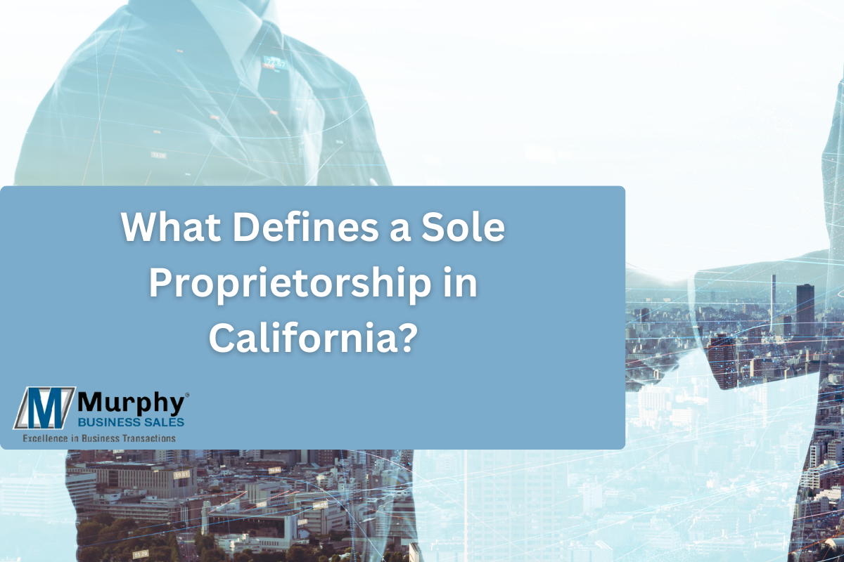 What Defines a Sole Proprietorship in California? Top Hat Business